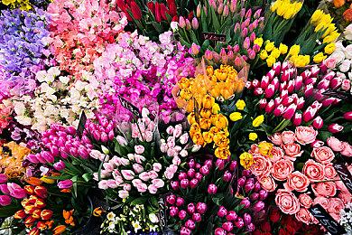 白金工作室愿意移植《星际火狐：零》 但需老任点头